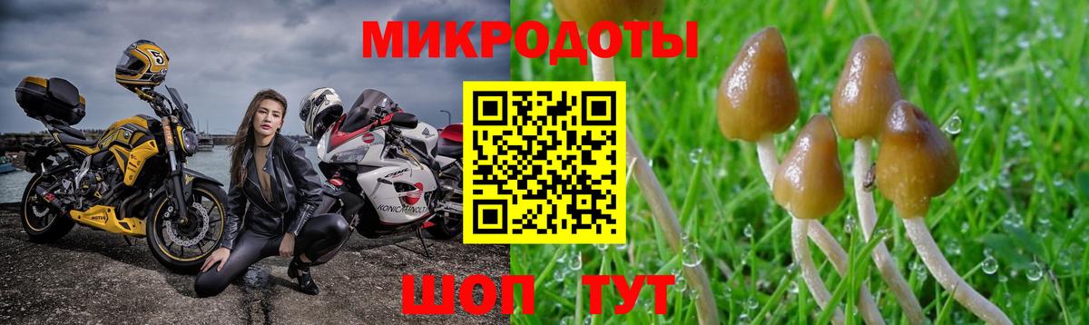Галлюциногенные грибы ЛСД  Галлюциногенные грибы мухоморы  Всеволожск  Вход с VPN 
